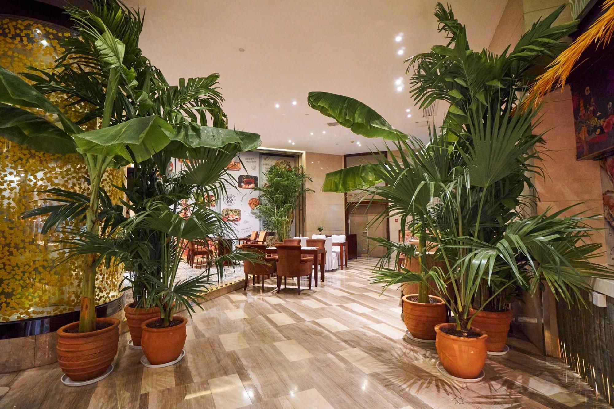 Wyndham Grand Plaza Royale Chenzhou Hotel Bagian luar foto